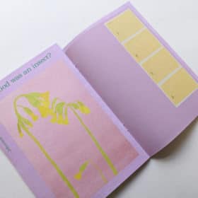 What if God was an insect? - Johanna Tagada Hoffbeck – Image 6