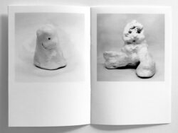Followers - Agnès Wyler – Image 4