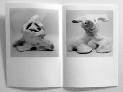 Followers - Agnès Wyler – Image 3