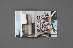 I Wish I Never Saw the Sunshine - Pacifico Silano – Image 10