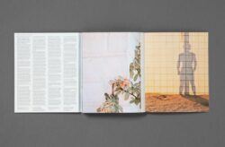I Wish I Never Saw the Sunshine - Pacifico Silano – Image 17