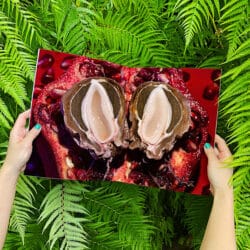 Mushrooms and Friends 3 - Phyllis Ma – Image 5