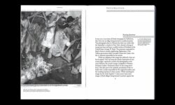 Burning Images, A History of Effigy Protests - Florian Göttke – Image 2