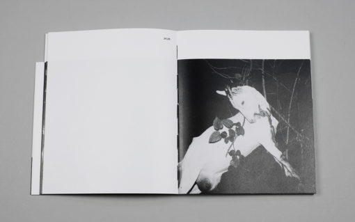 Issei Suda : My Japan – Image 8