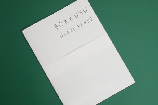 Bokkusu - Nigel Peake – Image 6