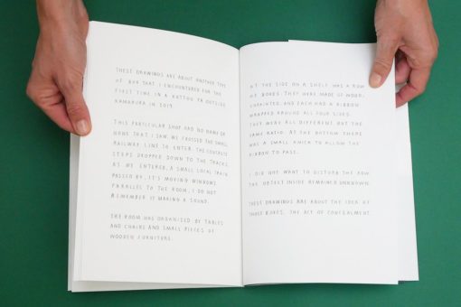 Bokkusu - Nigel Peake – Image 2