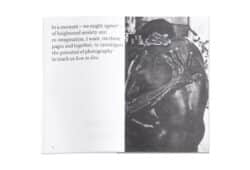 Instructional Photography: Learning How to Live Now - Carmen Winant – Image 3