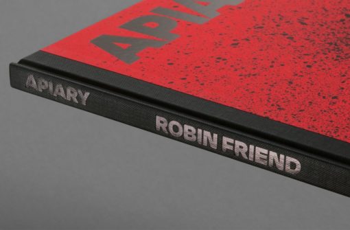 Apiary - Robin Friend – Image 22