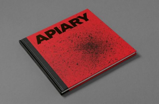 Apiary - Robin Friend – Image 2
