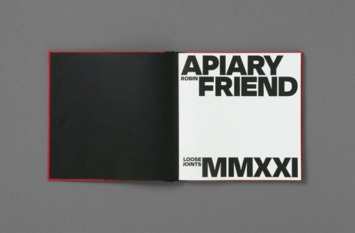 Apiary - Robin Friend – Image 4