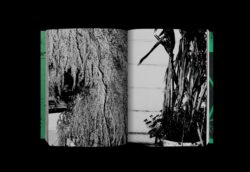 Photography 写真 - Koji Kitagawa – Image 11