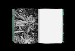 Photography 写真 - Koji Kitagawa – Image 13