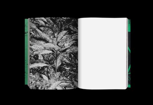 Photography 写真 - Koji Kitagawa – Image 13