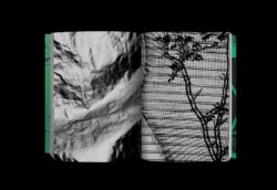 Photography 写真 - Koji Kitagawa – Image 2