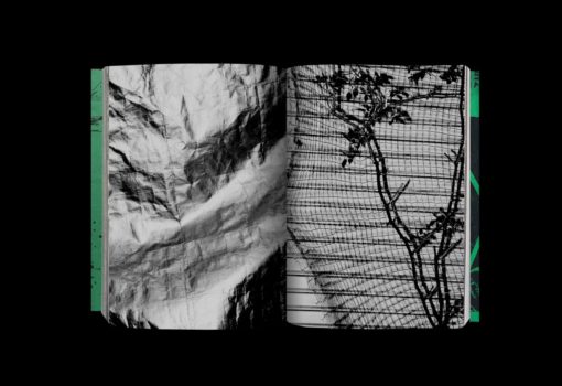 Photography 写真 - Koji Kitagawa – Image 2