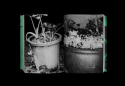 Photography 写真 - Koji Kitagawa – Image 5