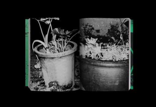 Photography 写真 - Koji Kitagawa – Image 5