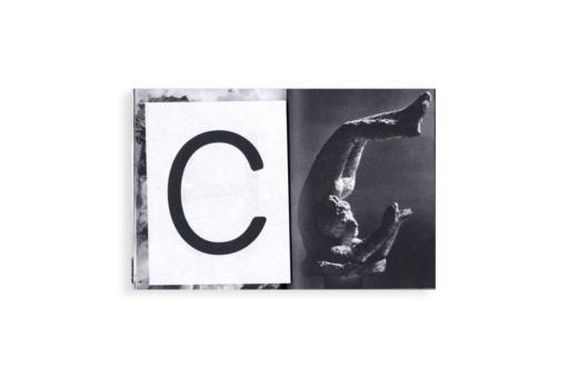 Paréidolie - Kïosk (Elsa Aupetit et Martin Plagnol) – Image 6
