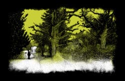 L'Enfant naturel - Guillaume Soulatges – Image 2