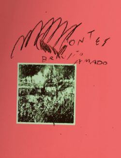 BIC011 Montes - Braulio Amado