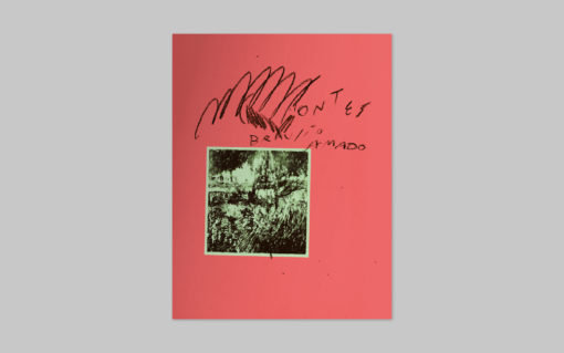 BIC011 Montes - Braulio Amado – Image 4