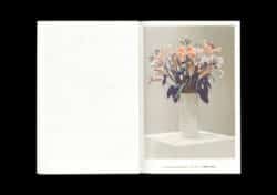 Vanishing Workflows - Xavier Antin – Image 3