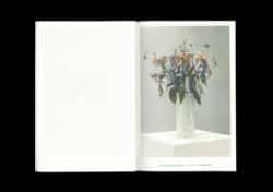 Vanishing Workflows - Xavier Antin – Image 2