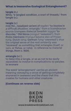 SONIC MEDITATIONS for immersive ecological entanglement - BKDN BKDN Press – Image 3