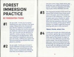 SONIC MEDITATIONS for immersive ecological entanglement - BKDN BKDN Press – Image 5