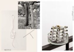 Pain liquide n° 01 – Image 5