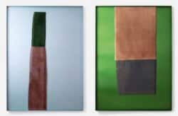 Bas-Reliefs / Bas-Reliefs Détails (2 livres) - Ronan Bouroullec – Image 4