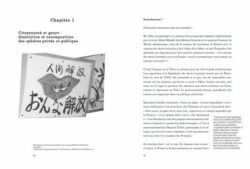 Une idéologie pour survivre – Débats féministes sur violence et genre au Japon - Ueno Chizuko – Image 2