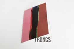 ARBRES-TRONCS - Zoé van der Haegen – Image 3