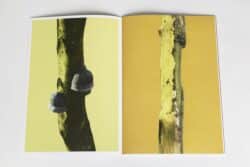 ARBRES-TRONCS - Zoé van der Haegen – Image 6