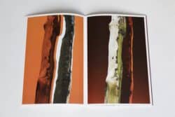 ARBRES-TRONCS - Zoé van der Haegen – Image 4