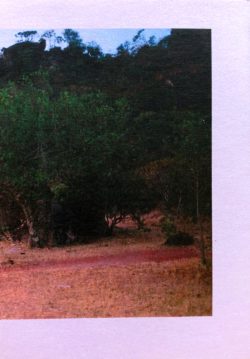 16 x 421 - Lorraine Druon