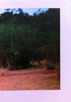 16 x 421 - Lorraine Druon