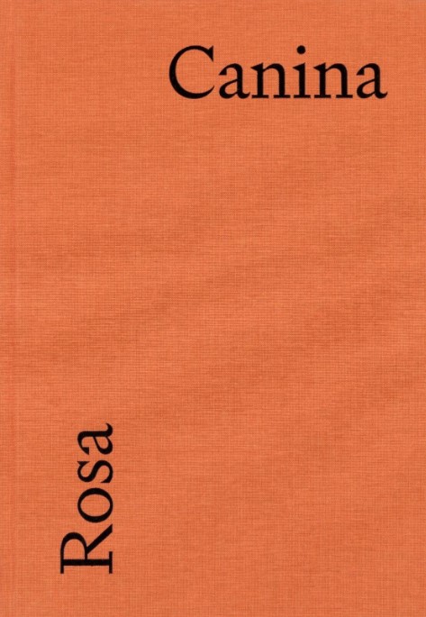 Rosa canina - Mathilda Olmi