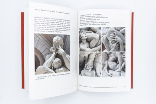 Modern Instances, The Craft of Photography - Stephen Shore – Image 5