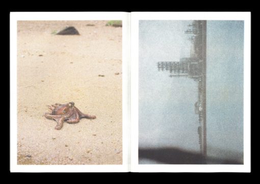 Tako - Nils Edström – Image 3