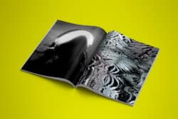 TROPICAL STOEMP 02 - Editions Le Mulet – Image 6
