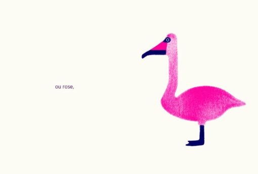 Le Cygne de Popper - Alice Brière-Haquet, Janik Coat – Image 4