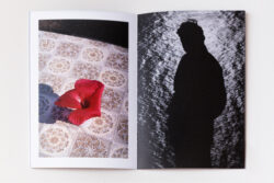 Sedimental Feelings - Marion Ellena – Image 3