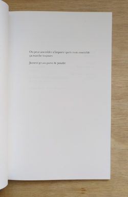 Les ratons laveurs - Sophie Couderc – Image 2