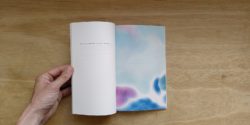 Les ratons laveurs - Sophie Couderc – Image 5