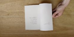Les ratons laveurs - Sophie Couderc – Image 4