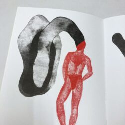 duo zine 4 . Guillaume Dégé & Tom de Pékin – Image 6