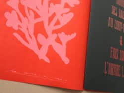 Donne des racines au loup-garou & fais courir l'arbre la nuit - Pauline Barzilaï – Image 12