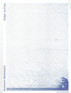 Vider la fiac - Antonin Detemple