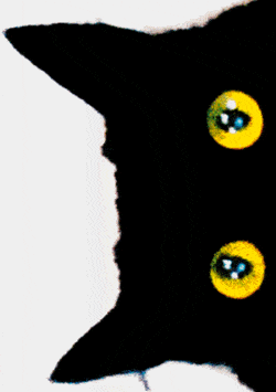 Felix - Felix the Saiz